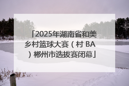 2025年湖南省和美乡村篮球大赛（村 BA）郴州市选拔赛闭幕