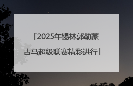 2025年锡林郭勒蒙古马超级联赛精彩进行