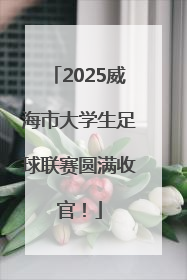 2025威海市大学生足球联赛圆满收官！