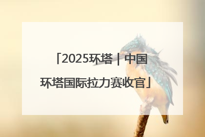 2025环塔｜中国环塔国际拉力赛收官