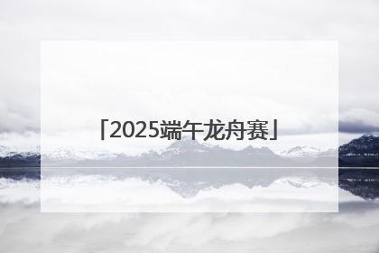 2025端午龙舟赛