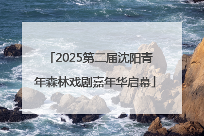 2025第二届沈阳青年森林戏剧嘉年华启幕
