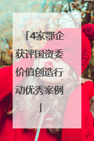 4家鄂企获评国资委价值创造行动优秀案例