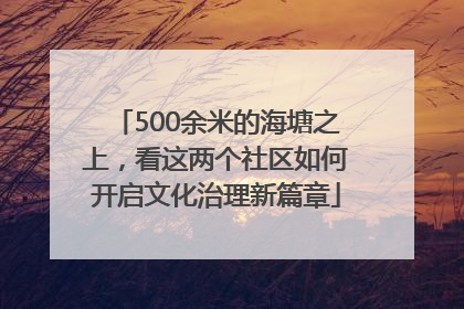 500余米的海塘之上，看这两个社区如何开启文化治理新篇章