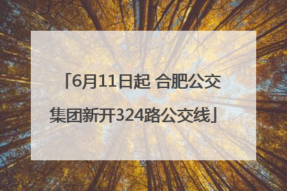 6月11日起 合肥公交集团新开324路公交线