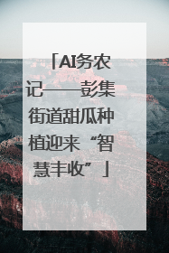 AI务农记——彭集街道甜瓜种植迎来“智慧丰收”