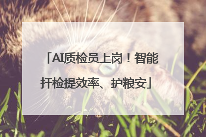 AI质检员上岗！智能扦检提效率、护粮安