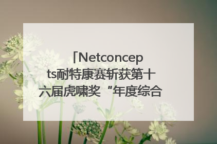 Netconcepts耐特康赛斩获第十六届虎啸奖“年度综合服务商”大奖